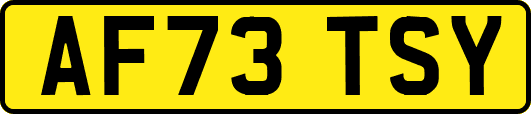 AF73TSY