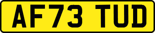 AF73TUD