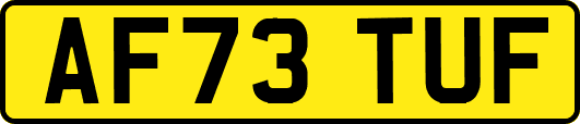 AF73TUF