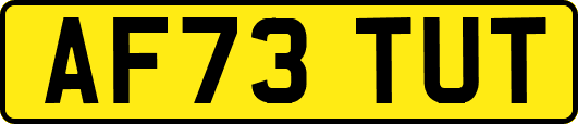 AF73TUT