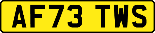 AF73TWS