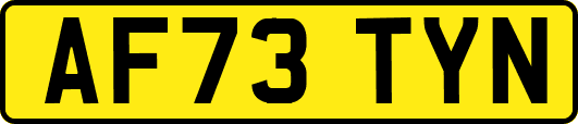 AF73TYN