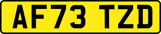 AF73TZD