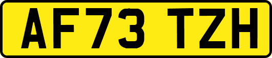 AF73TZH