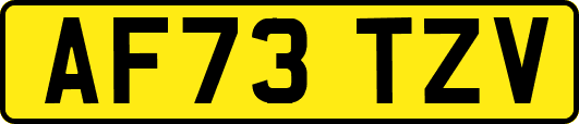 AF73TZV