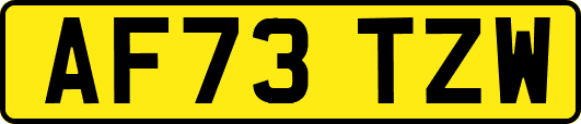AF73TZW