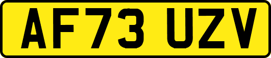 AF73UZV