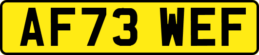 AF73WEF