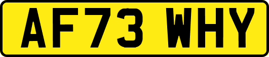 AF73WHY