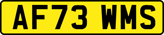AF73WMS