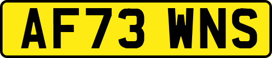 AF73WNS