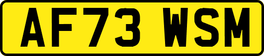 AF73WSM