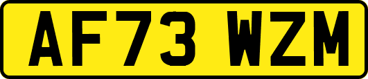 AF73WZM