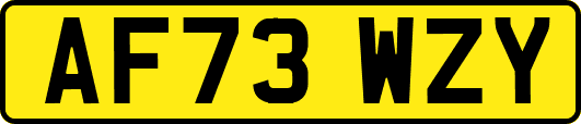 AF73WZY