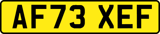 AF73XEF