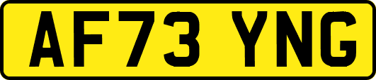 AF73YNG