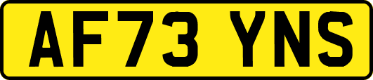 AF73YNS