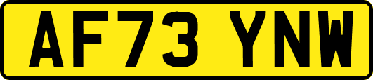 AF73YNW