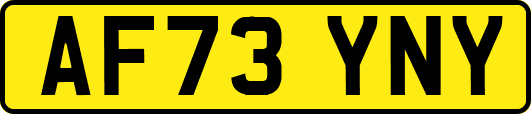 AF73YNY