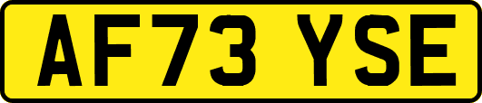 AF73YSE