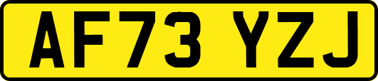 AF73YZJ