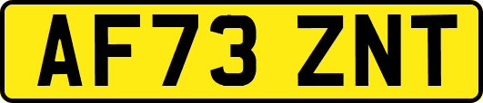 AF73ZNT