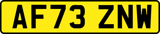AF73ZNW