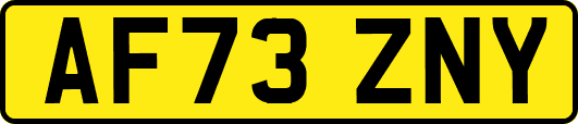 AF73ZNY