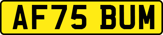 AF75BUM