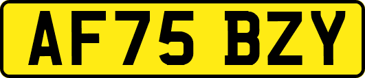 AF75BZY
