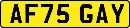 AF75GAY