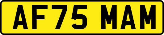 AF75MAM