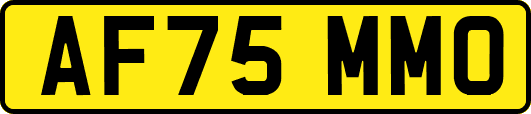 AF75MMO