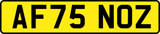 AF75NOZ