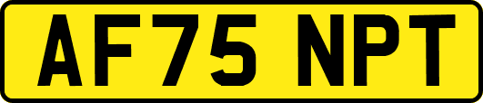 AF75NPT