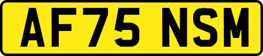 AF75NSM