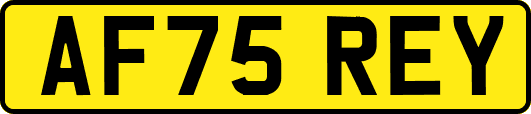 AF75REY