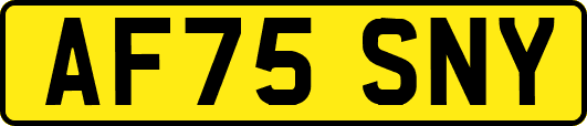 AF75SNY