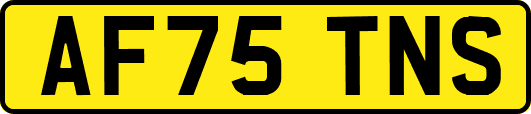 AF75TNS
