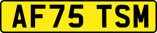 AF75TSM
