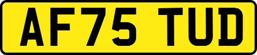 AF75TUD