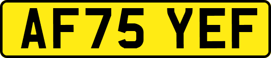 AF75YEF