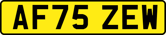 AF75ZEW