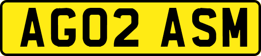 AG02ASM