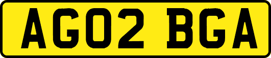AG02BGA