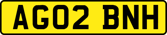 AG02BNH