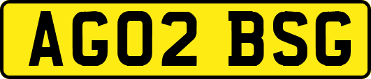 AG02BSG
