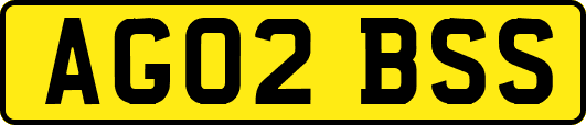 AG02BSS