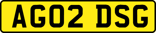 AG02DSG