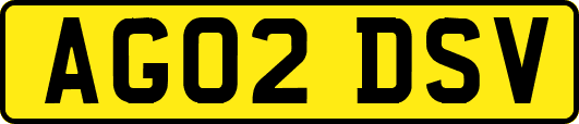AG02DSV